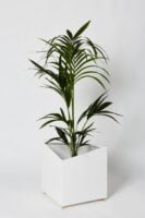 Biała aluminiowa doniczka z nóżkami z mosiądzu i wstawioną rośliną.