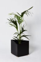 Czarna aluminiowa doniczka z nóżkami z mosiądzu i wstawioną rośliną.