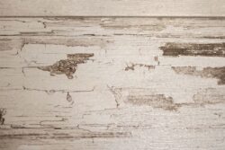 Płytka drewnopodobna - Absolut Keramika Palau light 15x90 cm. Zbliżenie na satynową powierzchnię płytki imitującej jasne drewno.