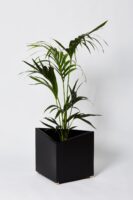 Donica aluminiowa - czarna Q1. Czarna aluminiowa doniczka z nóżkami z mosiądzu i wstawioną rośliną.