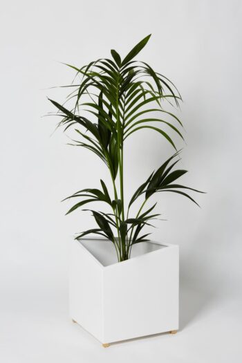 Donice aluminiowe - biała Q1. Biała, aluminiowa doniczka z nóżkami z mosiądzu i wstawioną rośliną.