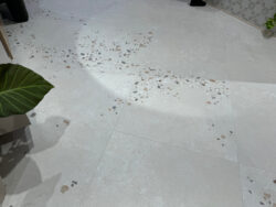 Awen White Harmony podłoga