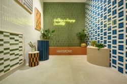 Małe płytki cegiełki - Harmony Glint 5x15cm