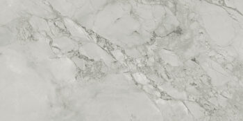 Płytki imitacja szarego marmuru twarz 9, Marca Corona Scultorea Foam Grey Velvet 60x120 J403