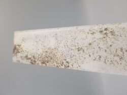 Kafelki białe, cegiełki z rdza - Natucer Cool White 5x30 cm