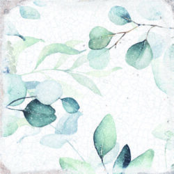 Płytki motyw roślinny, twarz 2 - Harmony Mayolica Woods 15x15 cm