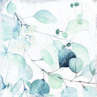 Płytki motyw roślinny, twarz 4 - Peronda Harmony Mayolica Woods 15x15 cm
