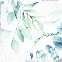 Płytki motyw roślinny, twarz 6 - Peronda Harmony Mayolica Woods 15x15 cm