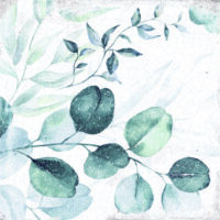 Płytki motyw roślinny, twarz 7 - Peronda Harmony Mayolica Woods 15x15 cm