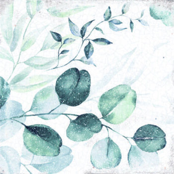 Płytki motyw roślinny, twarz 7 - Peronda Harmony Mayolica Woods 15x15 cm
