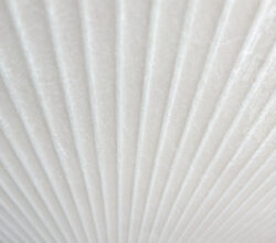 Płytki ryflowana lamele NOVABELL Deepstone 3D Peak Sand Rettificato 60X120