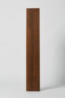 Płytki gres drewnopodobne - Santagostino Lakewood burnt 120x20 cm. Włoskie płytki gresowe imitujące drewno na podłogę lub ścianę.