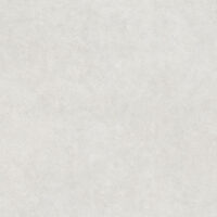 Cifre Borneo White 120x120 duże płytki imitacja kamienia jasnoszare